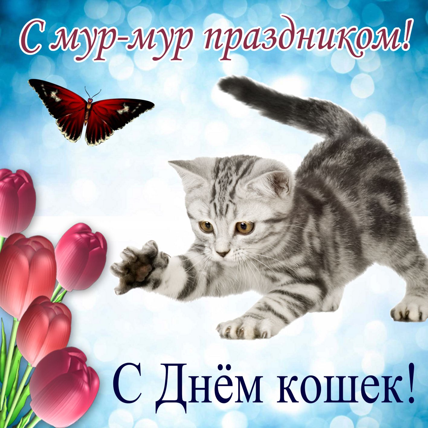 День кошек!.